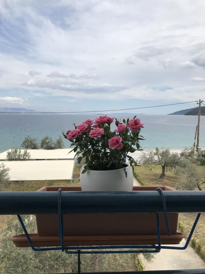 Apartmán Amalfi Complex Kato Almiri Exteriér fotografie